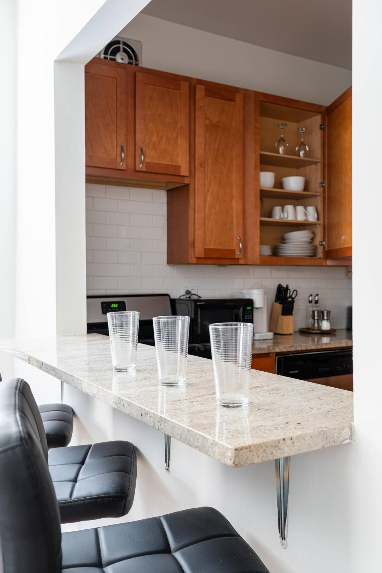 Ukrainian Village 3Br Apartment Apartment *